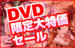 ����E�݌Ɍ����BD�EDVD������I