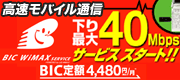 BIC wimax