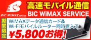 BIC wimax