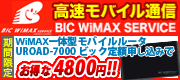BIC wimax