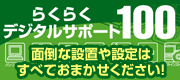 �炭�炭�f�W�^���T�|�[�g100