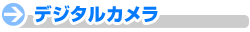 �f�W�^���J����