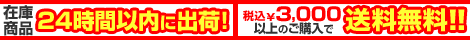 �݌ɏ��i24���Ԉȓ��o�ׁI/�ō�3,000�~�ȏ�̂��w���Ŕz���萔������ 