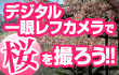 �����B�낤