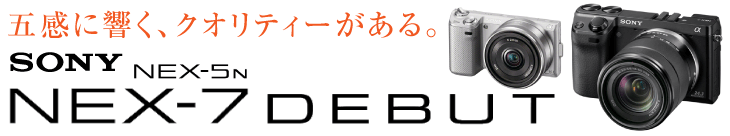 �^�C�g��