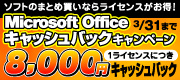 Microsoft Office �L���b�V���o�b�N�L�����y�[��