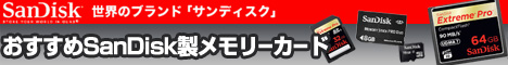 SanDisk���t���b�V���������[
