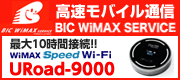 BIC wimax