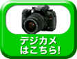 �Ώۃf�W�J���͂�����