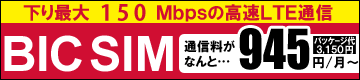 BIC SIM���W