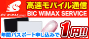 BIC wimax