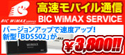 BIC wimax