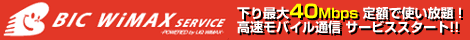WiMAX