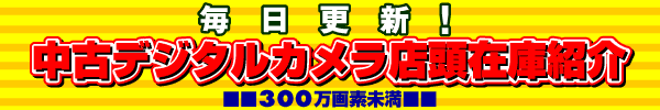 �\�t�}�b�v ���Ãf�W�^���J�����X���݌ɏЉ�(300����f�ȉ�)