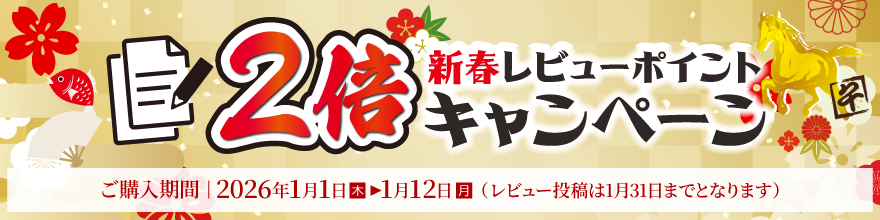 �V�t���r���[�|�C���g2�{