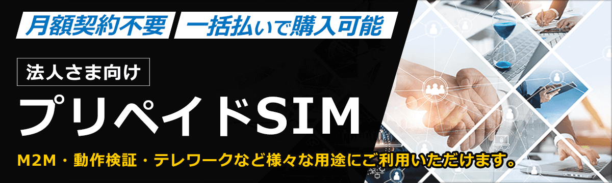 vyChSIM