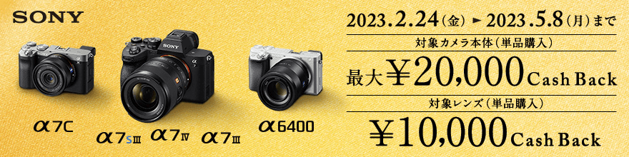 SONY XvOLbVobNLy[