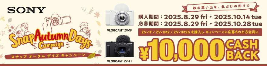 SONY Xibv I[^ fCY Ly[
