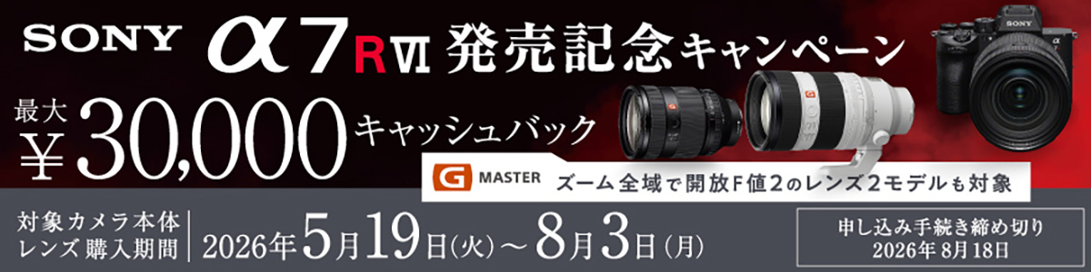 年明けセール！機関良好！ショット数 A1nS4hR4gdL.jpg α7RII SONY 17973回！ デジタルカメラ