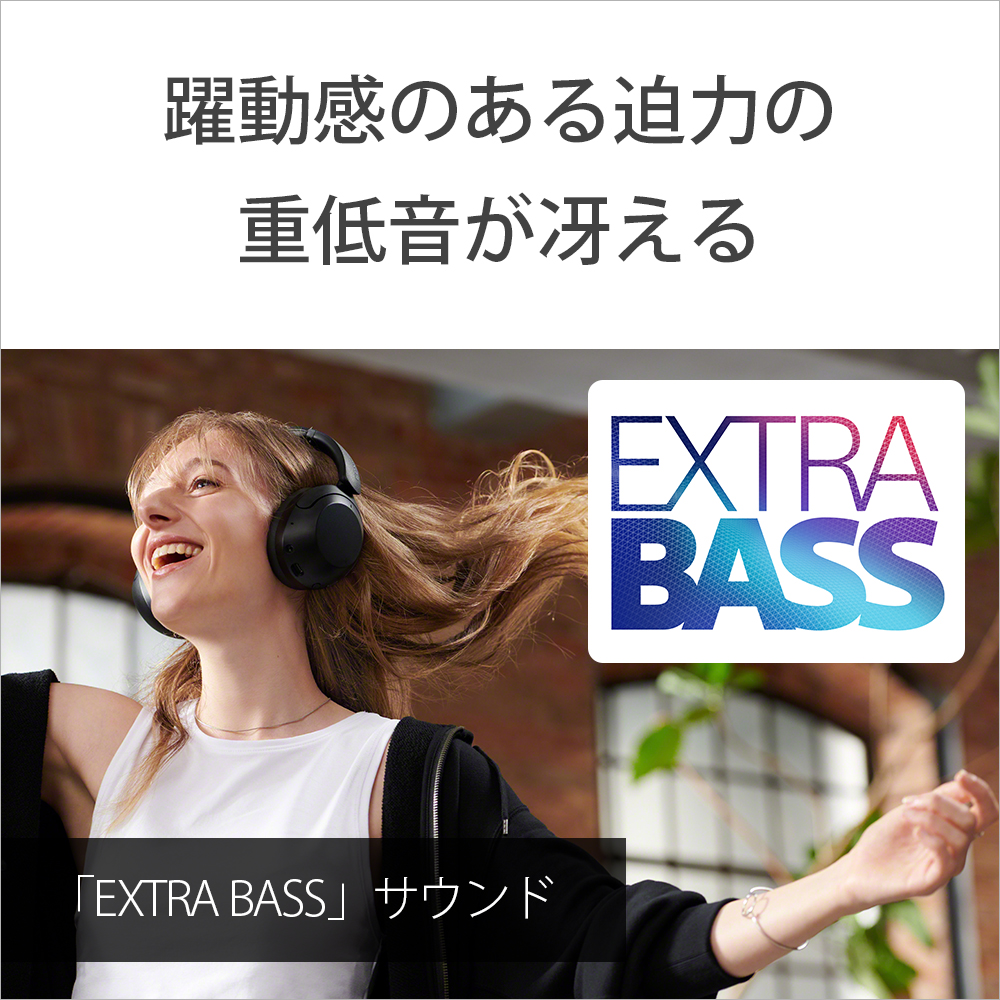 ブルートゥースヘッドホン ブラック WH-XB910N BZ [マイク対応