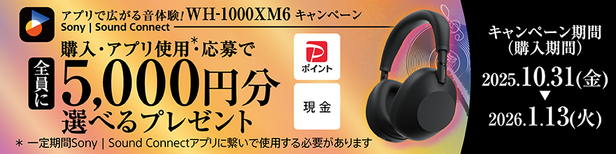 AvōL鉹̌IWH-1000XM6Ly[