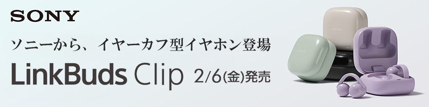 LinkBuds Clip