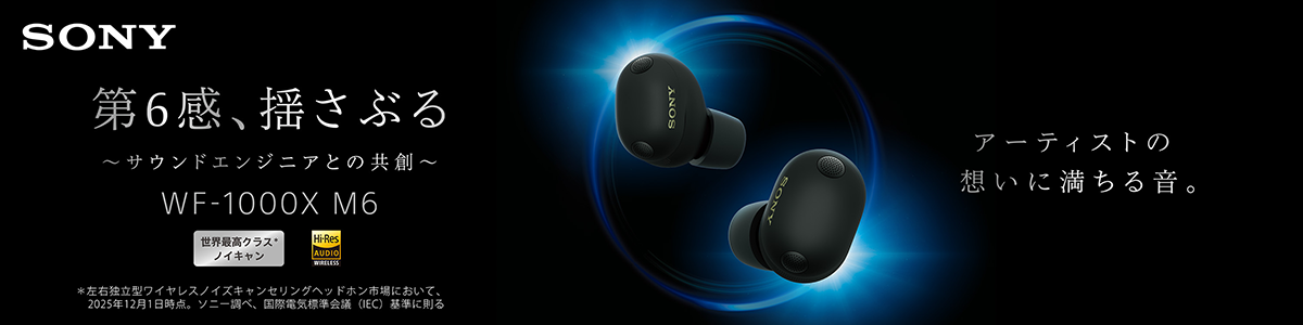 ソニー ノイズキャンセリングイヤホン WF-1000XM6｜ソフマップ[sofmap]