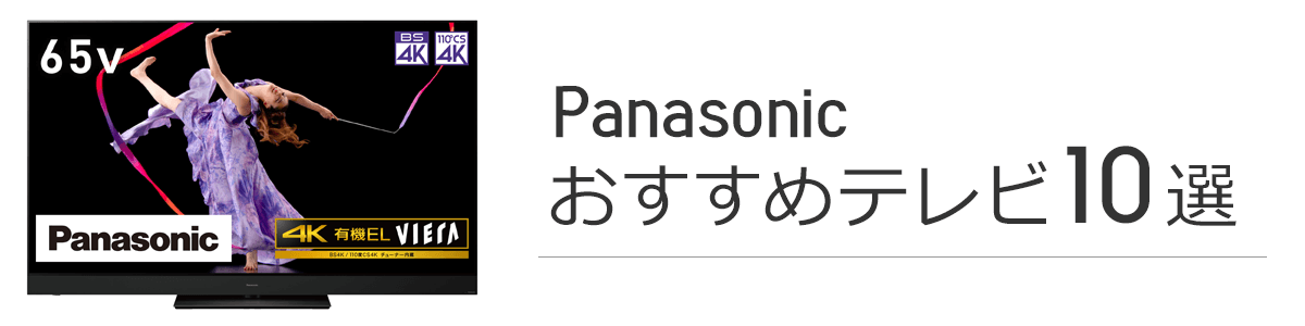 Panasonic(pi\jbN) ̃er10I