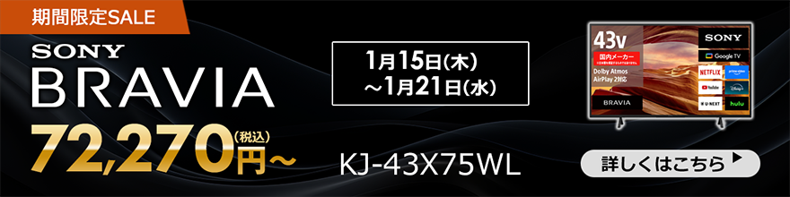 BRAVIAセール