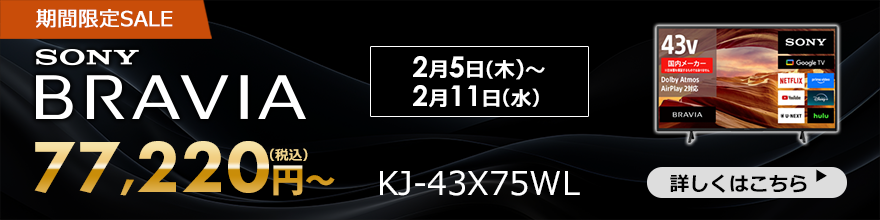 Bravia�Z�[��