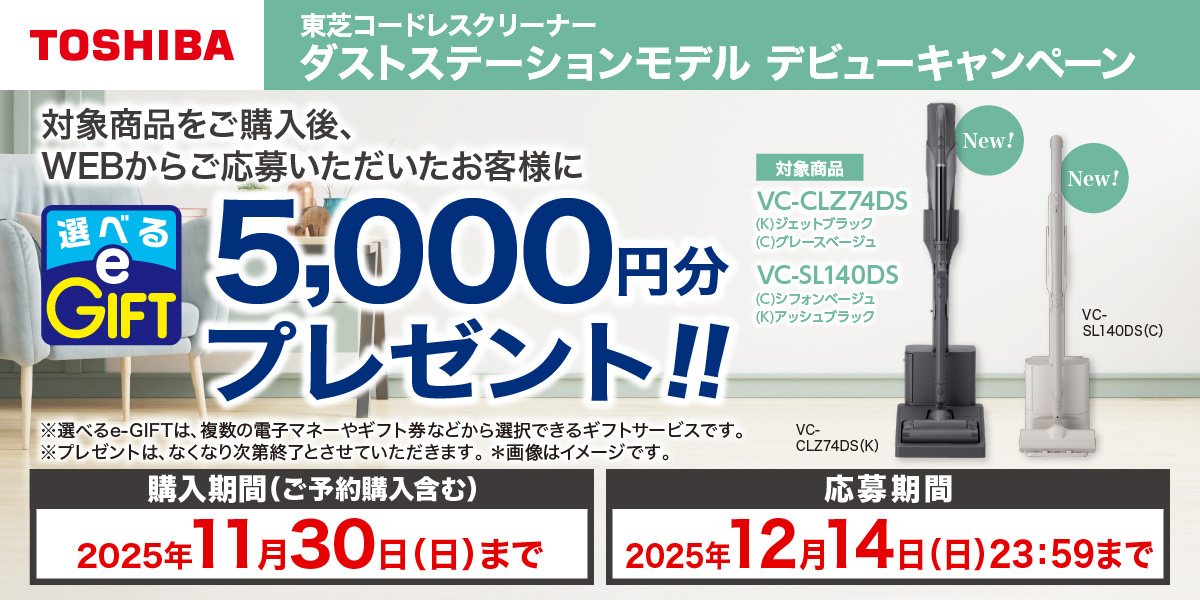 Ń_XgXe[Vf fr[Ly[