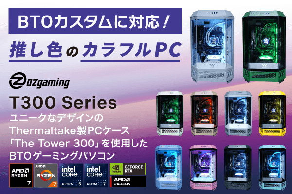 OZgaming T300 BTO�p�\�R��
