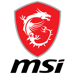 MSI