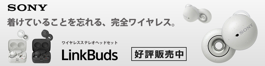 ソニーフルワイヤレスイヤホン LinkBuds WF-L900｜ソフマップ[sofmap]