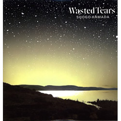 【ＬＰ盤】Ｗａｓｔｅｄ　Ｔｅａｒｓ（完全生産限定盤）