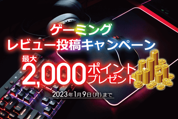 �Q�[�~���O���r���[