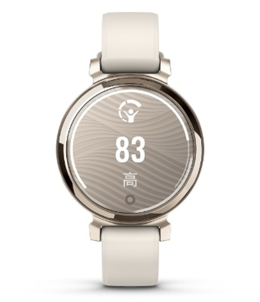 美品】GARMIN Lily2 Classic （Suica対応） 涙ぐみ