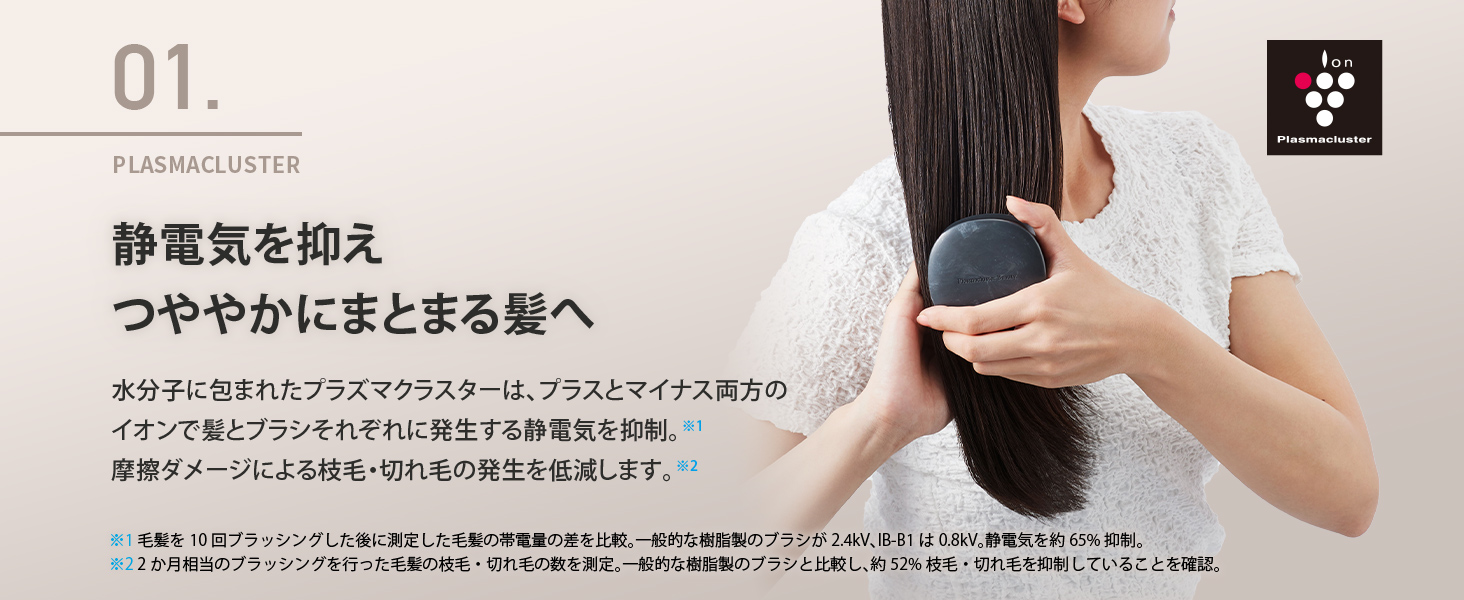 IB-B1A プラズマクラスターヘアブラシ Plasmacluster Beauty