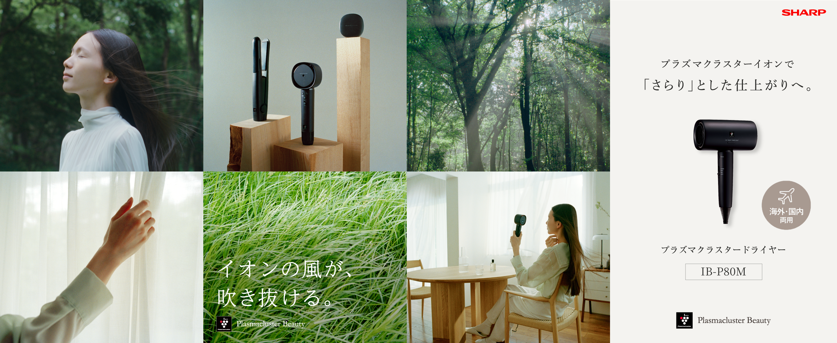 Plasmacluster Beauty ハンドヘルドドライヤー SHARP プラズマクラスタードライヤー Plasmacluster Beauty