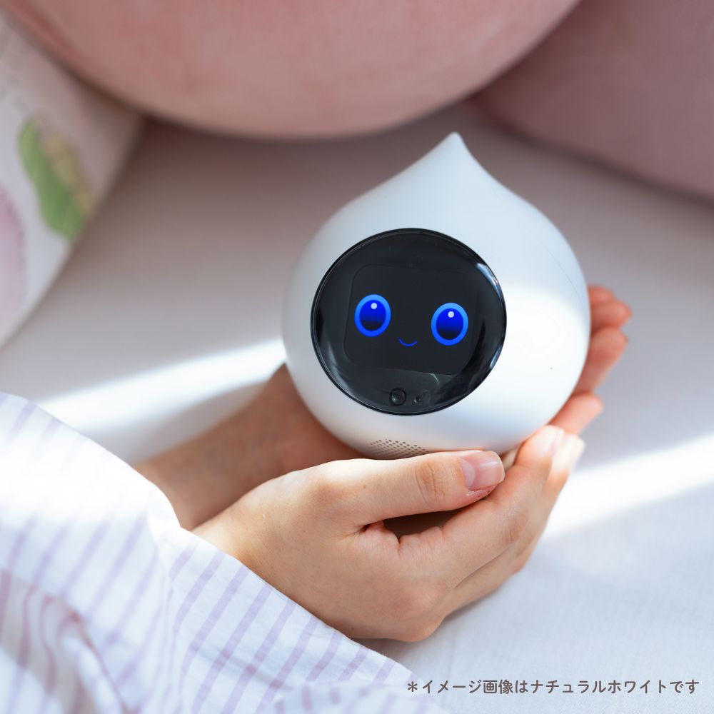 会話AIロボットRomi(ロミィ) Lacatanモデル ムーングレー ROMI