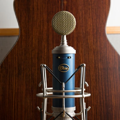 Bluebird SL XLR Condenser Microphone BM1200｜の通販は