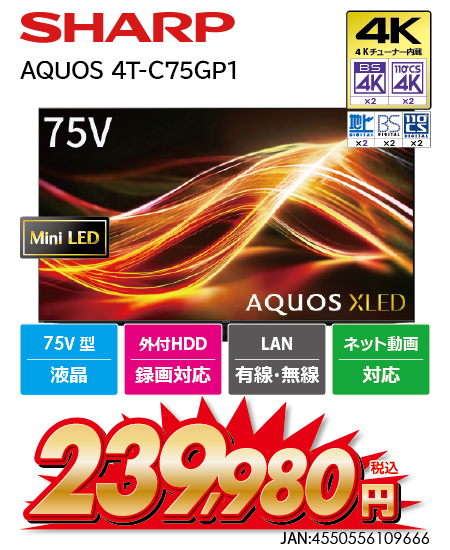 AQUOS 4T-C75GP1