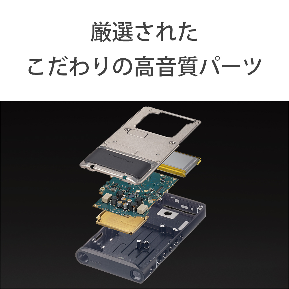 ウォークマンWALKMAN2022年モデル WM1シリーズ ブラック NW