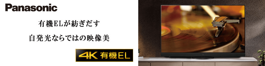 PanasonicVi