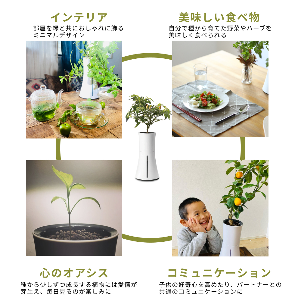 水耕栽培キット BOTANIUM（ボタニアム） アッシュグレー｜の通販