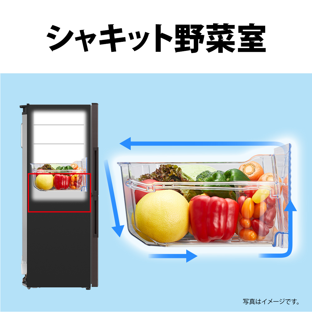 冷蔵庫 ブラウン系 SJ-PD28H-T ［2ドア /右開きタイプ /280L］｜の通販