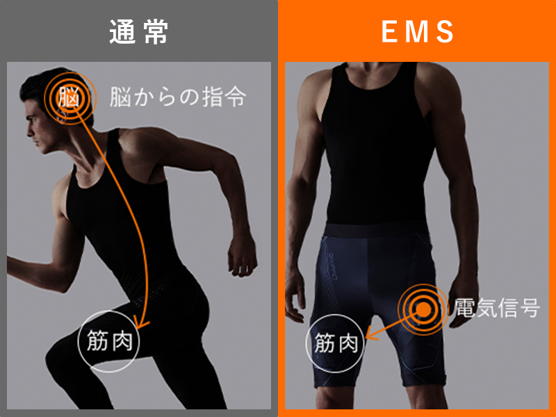MTG EMSトレーニングギア SIXPAD Powersuit Hip&Leg Men M シックス