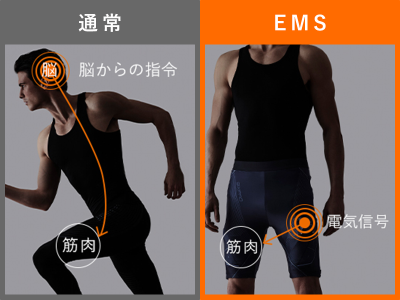 SIX PAD Powersuit Hip＆Leg 女性用Mサイズ　パワースーツ