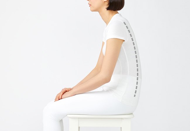 姿勢サポートシート Style Chair EL（スタイルチェア イーエル