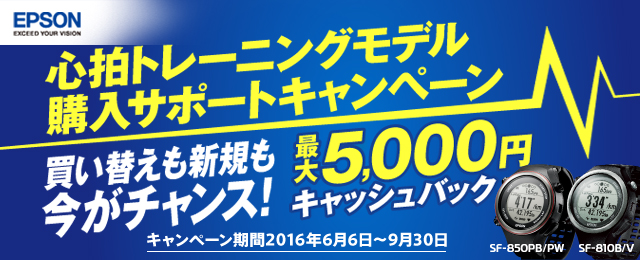 �G�v�\�� �S���g���[�j���O���f���w���T�|�[�g�L�����y�[��